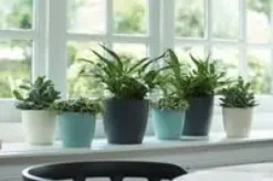 Cache-pot en plastique coloris vert menthe Elho Brussels M16 - Ø 16 cm