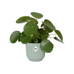 Cache-pot en plastique recyclé vert sorbet Elho Vibes fold rond- Ø 18 cm
