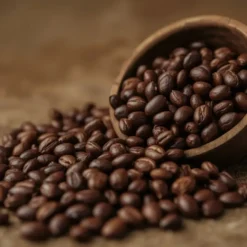 Café Les Arabicas d’Exception 1 kg