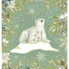 Cahiers doubles "Nature Chic" aux Éditions Pictura
