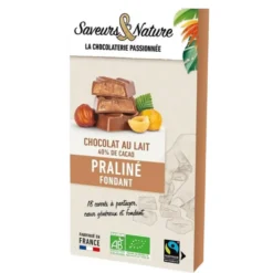 18 carrés fourrés praliné enrobés de chocolat au lait bio Saveurs et Nature - 80 g