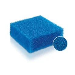 Cartouche de mousse compacte bleue à pores gros