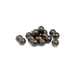 Cassis bio de France - Barquette 125 g