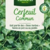 Cerfeuil commun Vilmorin - graines à semer