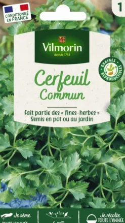 Cerfeuil commun Vilmorin - graines à semer