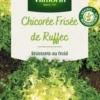 Chicorée de Ruffec Vilmorin - graines à semer