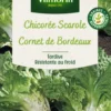 Chicorée Scarole Corne de Bordeaux Vilmorin - graines à semer
