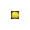 Chrysanthème à grosses fleurs 3/5 fleurs. Le pot de 3 litres