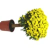 Chrysanthème multifleurs tige - Le pot de 4 litres