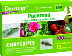 Chrysopes 100 larves
