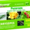 Chrysopes 500 oeufs