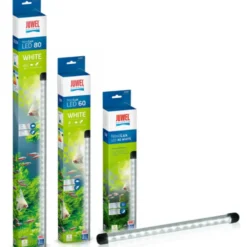 Éclairage aquarium LED blanc 60 - JUWEL Novolux - 60 cm