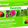 Coccinelles Septempunctata 20 adultes