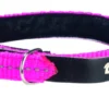 Collier chat Lost rose taille XS