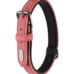Collier chien Delu rose 36/44 x 2 cm