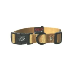 Collier chien réglable 16mm / 30-45cm beige