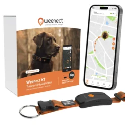 Collier GPS pour chien coloris orange Weenect XT