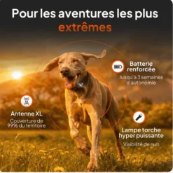 Collier GPS pour chien coloris orange Weenect XT