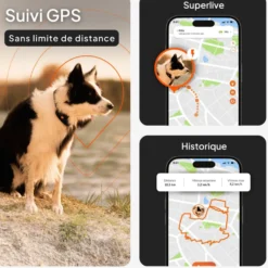 Collier GPS pour chien coloris orange Weenect XT