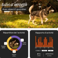 Collier GPS pour chien coloris orange Weenect XT