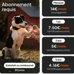 Collier GPS pour chien coloris orange Weenect XT