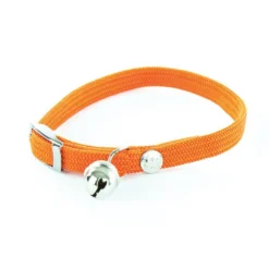 Collier élastique pour chat orange