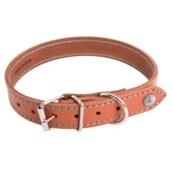 Collier pour chien en cuir coloris cognac turquoise Martin Sellier Flash - taille 22/47