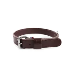 Collier pour chien en cuir coloris marron double épaisseur Martin Sellier - Taille 30/65