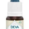 Complément alimentaire fleur de Bach églantier bio Deva - 15 ml