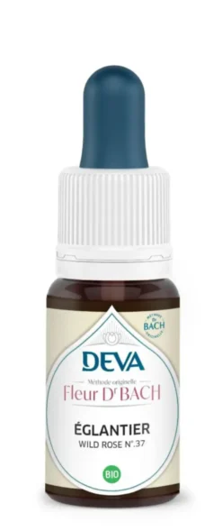 Complément alimentaire fleur de Bach églantier bio Deva - 15 ml