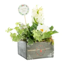 Composition florale Automne Hiver pot bois - 14 x 14 cm