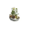 Composition Terrarium 20Cm