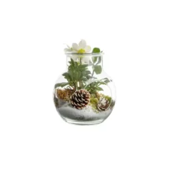 Composition Terrarium 20Cm