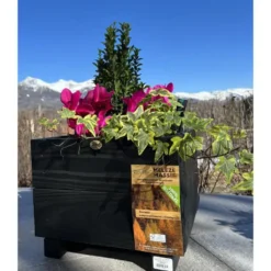Contenant carré coloris noir en bois certifié FSC® - 36 x 36 x 28,5 cm