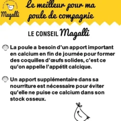 Coquilles d’huitres marines calcaires 5 kg