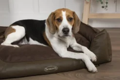 Corbeille à mémoire de forme pour chien et chat Hilton Scruffs – Taille S