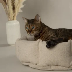 Corbeille pour chat en tissu vert Scruffs Eco Eden - 45 cm