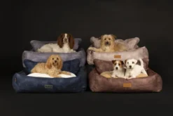 Corbeille pour chien marron Kensington Scruffs – Taille M