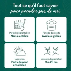 Coriandre Bio. Le pot de 1 litre