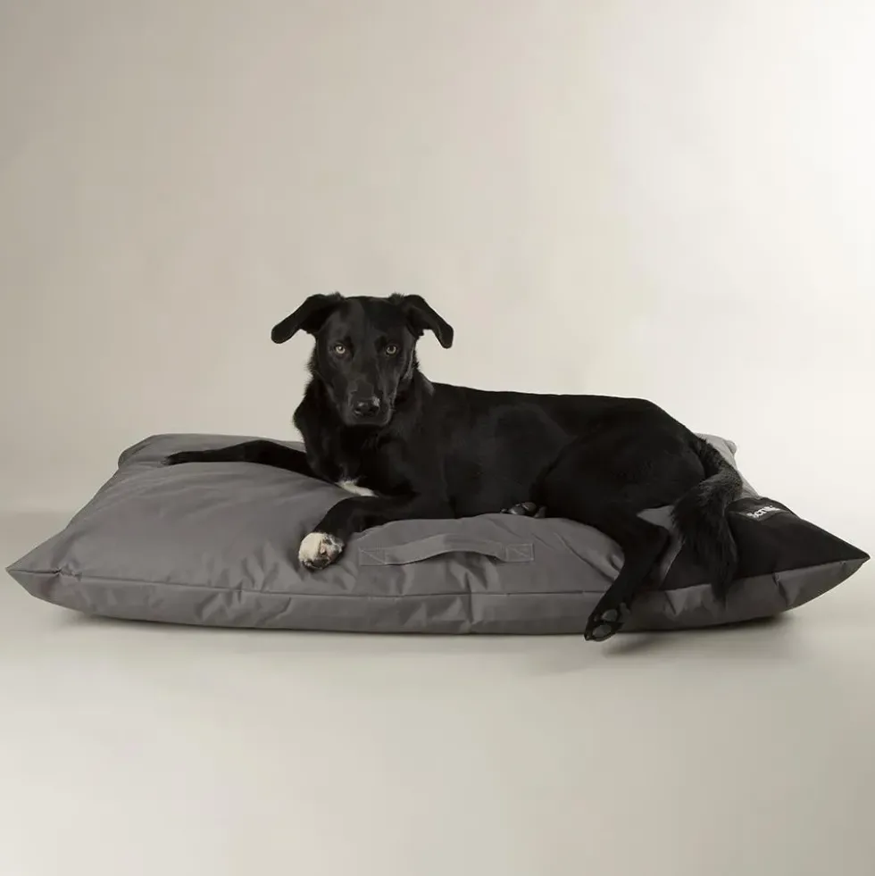 Couchage pour chien coloris gris coussin imperméable Scruffs Expédition - Taille L 100 x 70 cm
