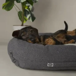 Couchage pour chien coloris gris corbeille Scruffs Eco Eden - Taille M 60 x 50 cm