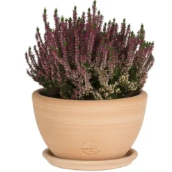 Coupe Cuenco lisse en terre cuite D40x H20