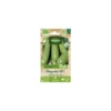 Courgette Greyzini HF1 Bio Vilmorin - graines à semer