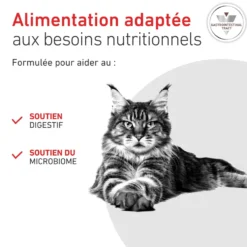 Croquette pour chat Royal Canin Gastro Intestinal - 2 kg