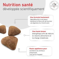 Croquette pour chat Royal Canin Gastro Intestinal - 2 kg