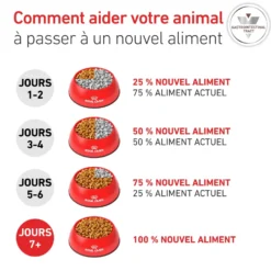 Croquette pour chat Royal Canin Gastro Intestinal - 2 kg