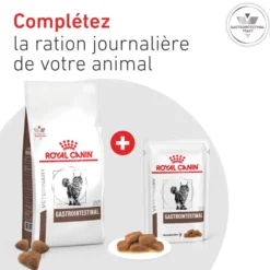 Croquette pour chat Royal Canin Gastro Intestinal - 2 kg