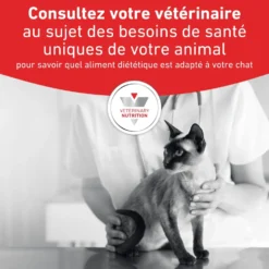 Croquette pour chat Royal Canin Gastro Intestinal - 2 kg