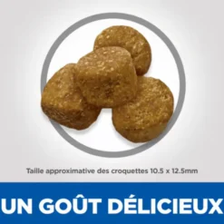Croquette pour chien adulte light au poulet Hill's - 12 kg