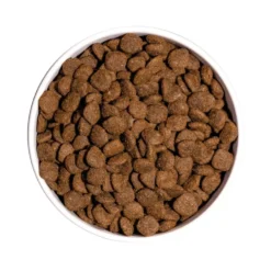 Croquette pour chien adulte sensible au saumon Ownat - 3 kg